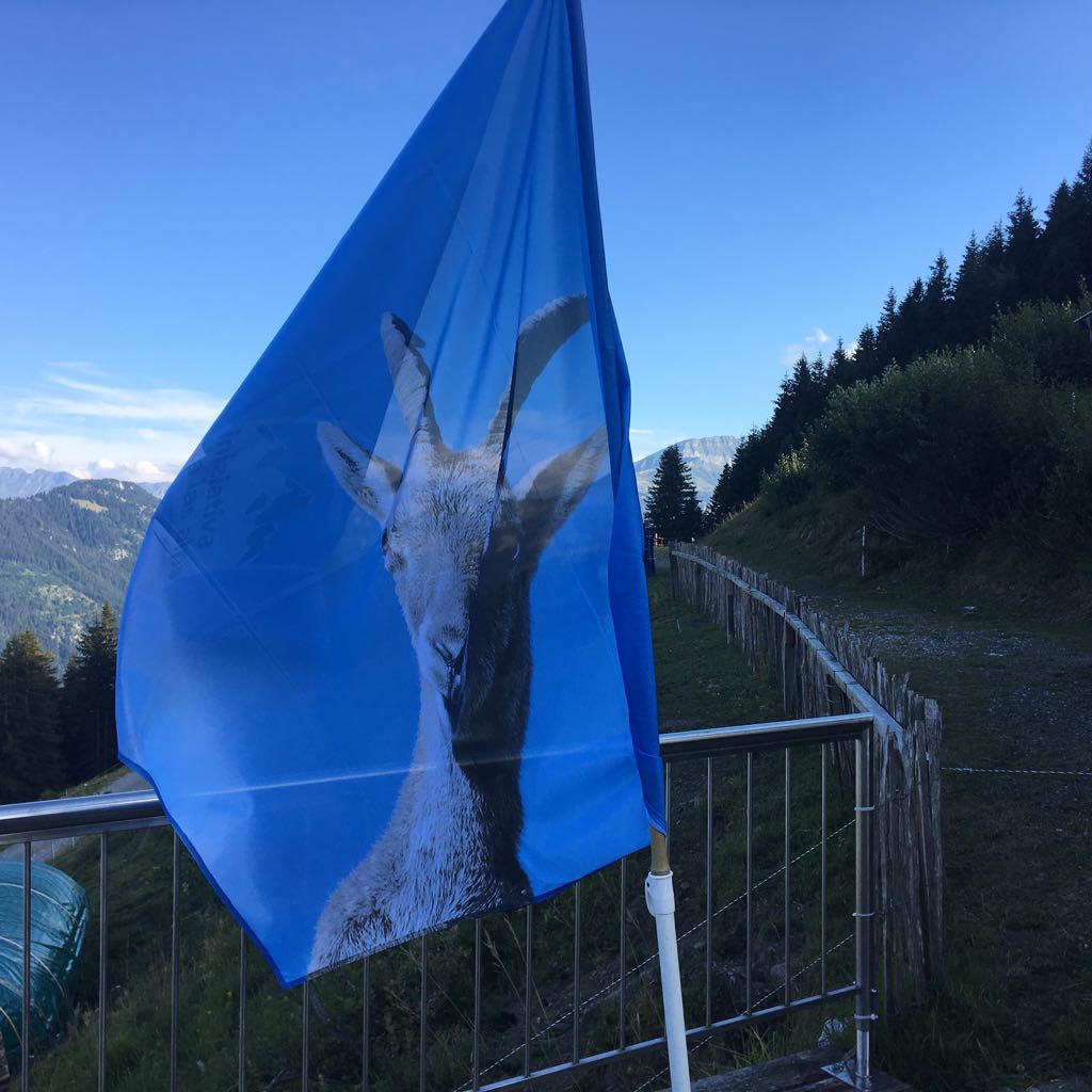 Rede anlässlich des Feuers in den Alpen